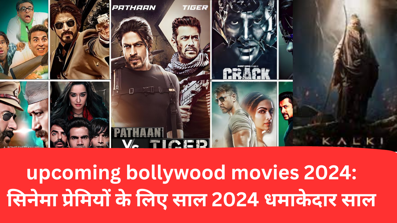 bollywood movies 2024 सिनेमा प्रेमियों के लिए साल 2024