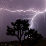 Weather disaster Bihar